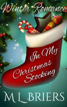 In My Christmas Stocking In My Christmas Stocking
