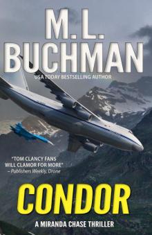 Condor Condor