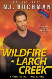 Wildfire at Larch Creek Wildfire at Larch Creek