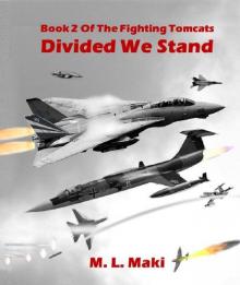 Divided We Stand
