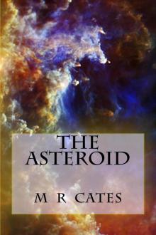 The Asteroid The Asteroid