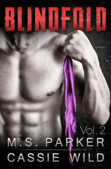Blindfold Vol. 2