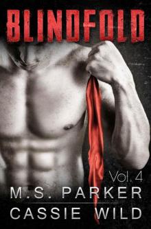 Blindfold Vol. 4