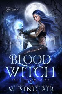 Blood Witch (Phases of the Moon Book 2) Blood Witch (Phases of the Moon Book 2)