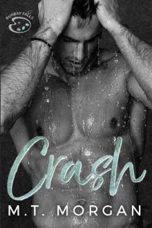 Crash : BurBay Falls Series