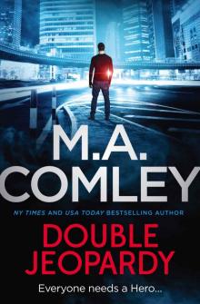 Double Jeopardy (Hero Book 4)