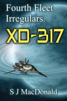 XD:317 (Fourth Fleet Irregulars)