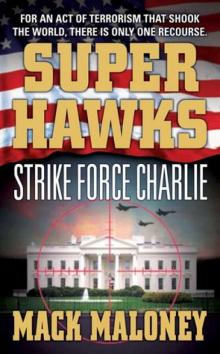 Strike Force Charlie s-3