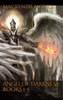 Angel of Darkness Books 1-5 Angel of Darkness Books 1-5