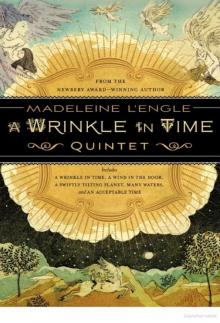 The Wrinkle in Time Quintet