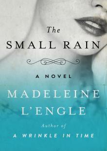 The Small Rain The Small Rain