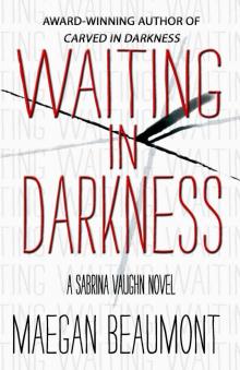 Waiting In Darkness_A Sabrina Vaughn Thriller Waiting In Darkness_A Sabrina Vaughn Thriller
