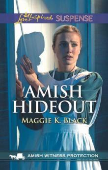 Amish Hideout (Amish Witness Protection Book 1) Amish Hideout (Amish Witness Protection Book 1)