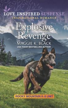 Explosive Revenge Explosive Revenge