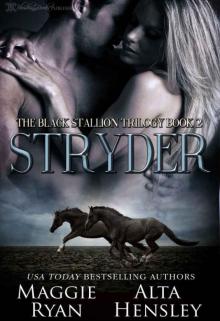 Stryder (The Black Stallion Trilogy Book 2)