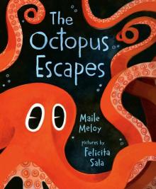 The Octopus Escapes The Octopus Escapes