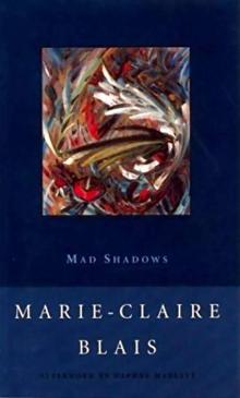 Mad Shadows Mad Shadows