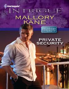 Private Security Private Security