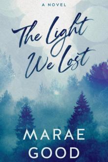 The Light We Lost (Lost and Found in Wallowpine Book 2) The Light We Lost (Lost and Found in Wallowpine Book 2)