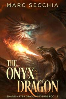 The Onyx Dragon The Onyx Dragon