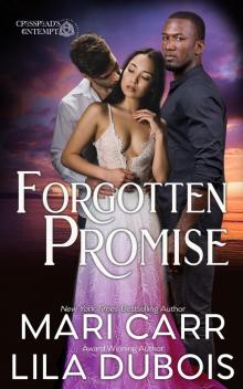 Forgotten Promise Forgotten Promise