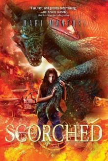 Scorched s-1