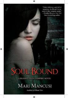 Soul Bound Soul Bound
