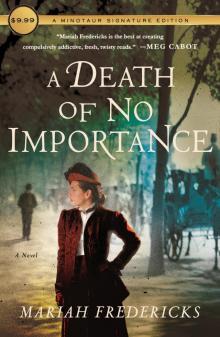 A Death of No Importance--A Novel A Death of No Importance--A Novel