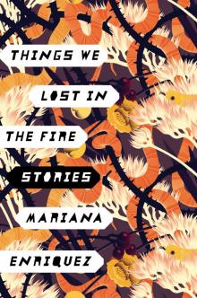 Things We Lost in the Fire Things We Lost in the Fire