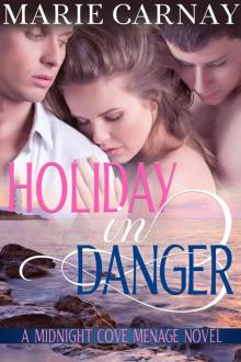 Holiday in Danger Holiday in Danger