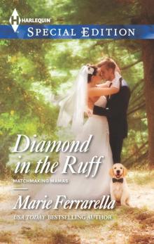 Diamond in the Ruff (Matchmaking Mamas Book 13) Diamond in the Ruff (Matchmaking Mamas Book 13)