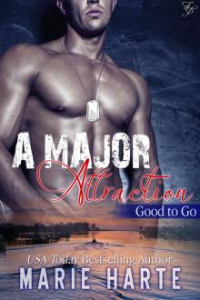 A Major Attraction A Major Attraction