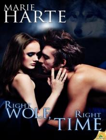 Right Wolf, Right Time: Cougar Falls, Book 6 Right Wolf, Right Time: Cougar Falls, Book 6