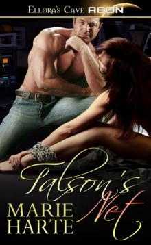 TalsonsNet