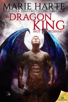 The Dragon King: Not So Ordinary: Ethereal Foes, Book 4 The Dragon King: Not So Ordinary: Ethereal Foes, Book 4
