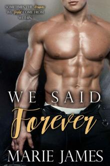 [2017] We Said Forever