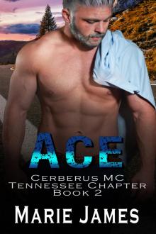 Ace (Cerberus MC Tennessee Chapter Book 2)