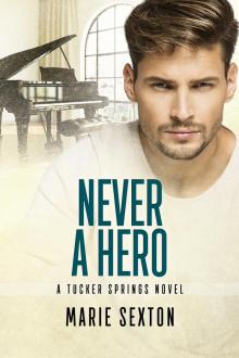 Never a Hero Never a Hero