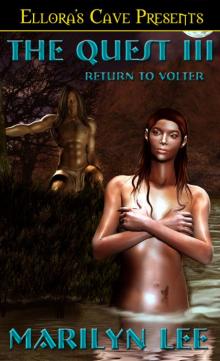 The Quest III: Return to Volter