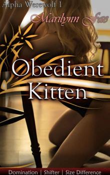 Obedient Kitten Obedient Kitten