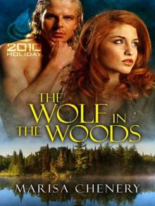 The Wolf in the Woods