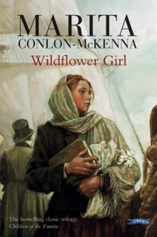 Wildflower Girl (Children of the Famine) Wildflower Girl (Children of the Famine)