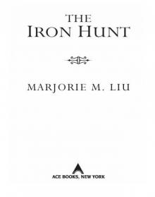 The Iron Hunt