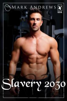 Slavery 2030