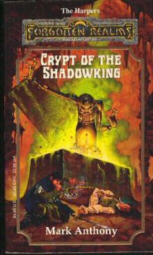 Crypt of the Shadowking h-6