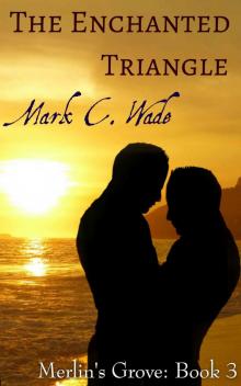The Enchanted Triangle (Merlin's Grove Book 3) The Enchanted Triangle (Merlin's Grove Book 3)