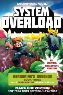 System Overload System Overload