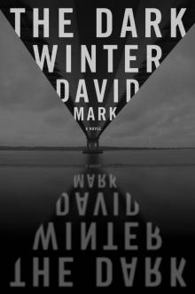 Dark Winter (9781101599891)