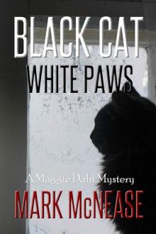 Black Cat White Paws
