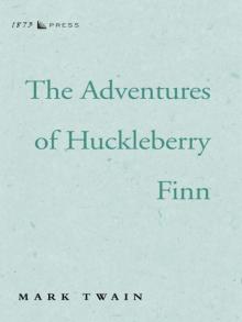The Adventures of Huckleberry Finn The Adventures of Huckleberry Finn